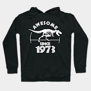 Awesome Since 1973 Hoodie